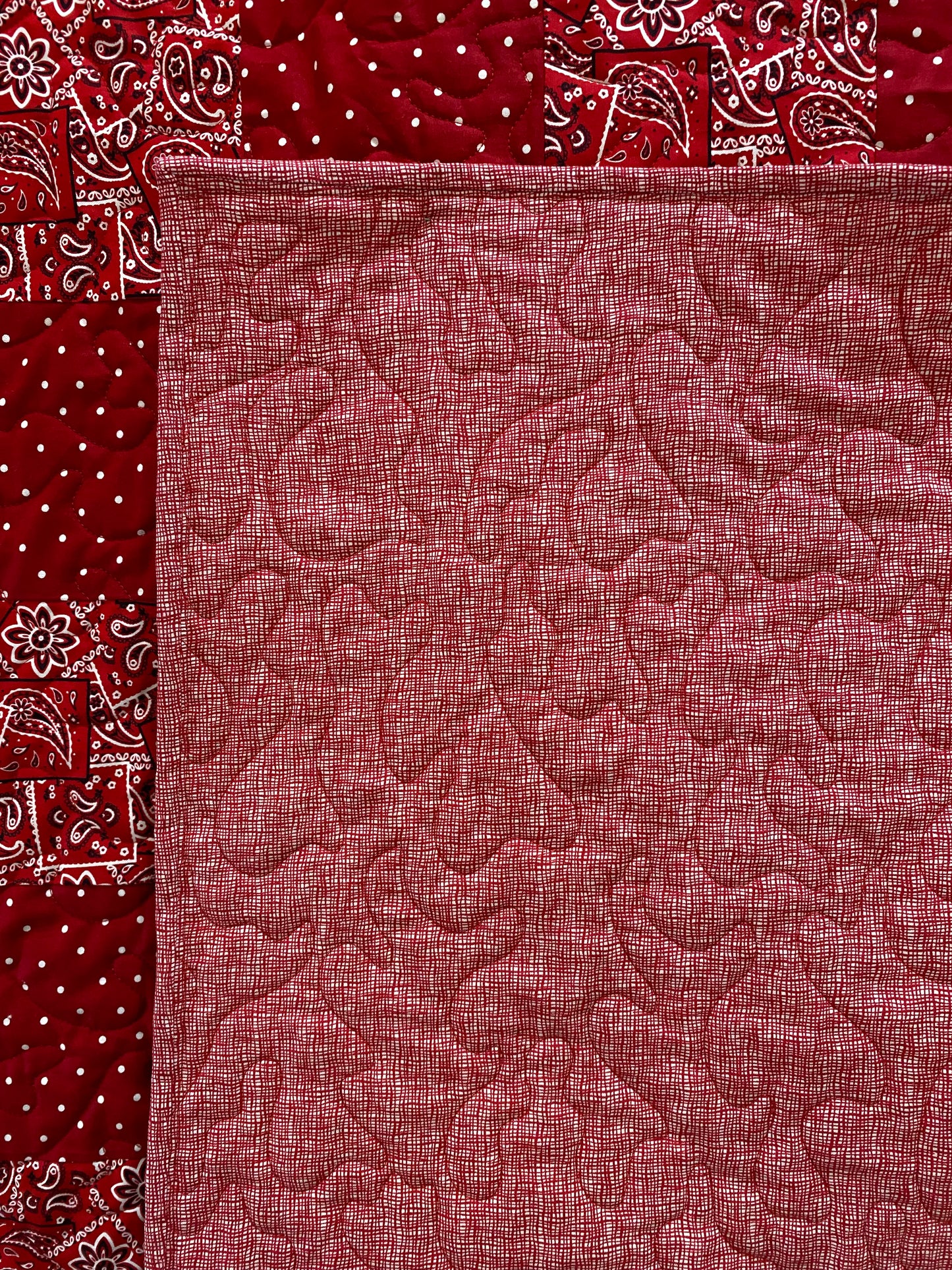 Quilt. Gingham Quilt. Picnic. Red with White Dots and Red Bandana Print.