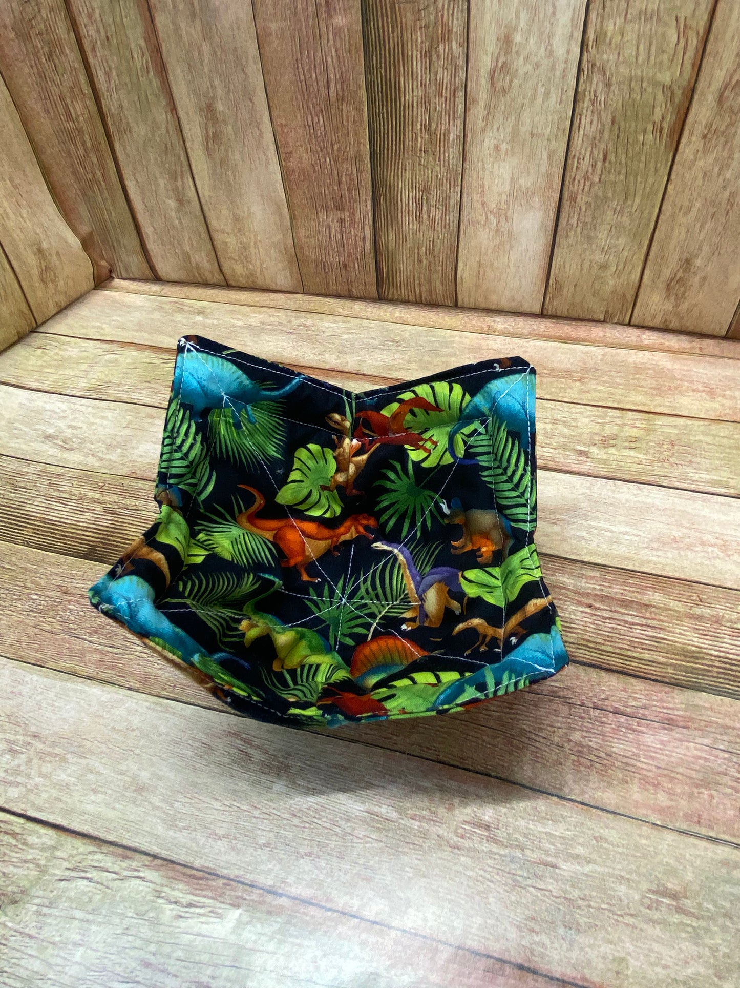 Bowl Cozy. Dinosaurs.
