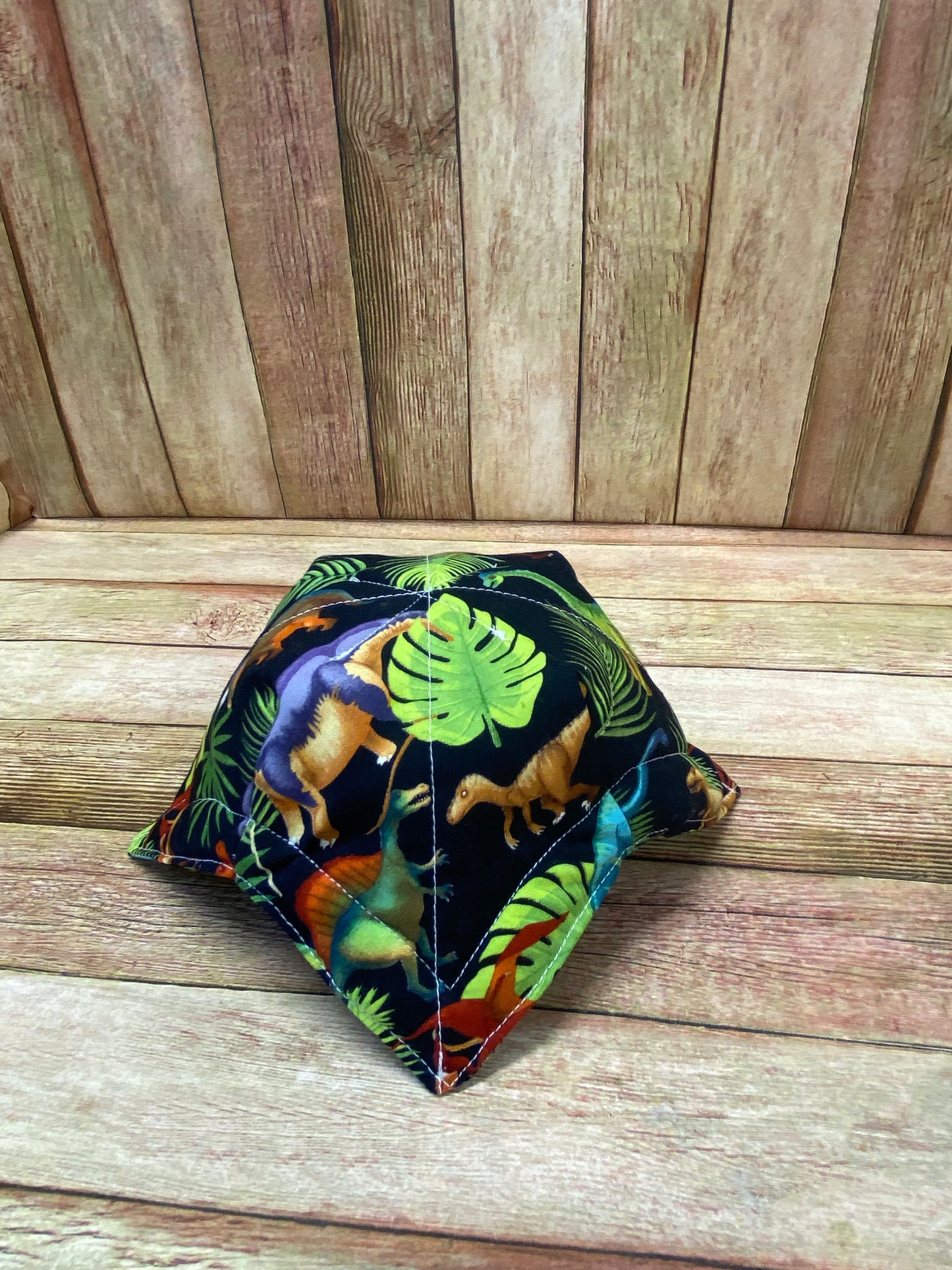 Bowl Cozy. Dinosaurs.