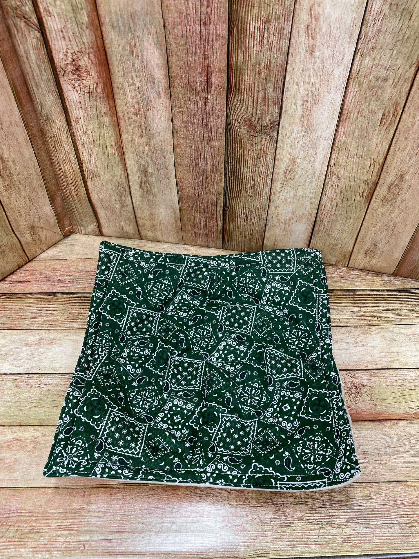 Plate Cozy. Green Bandana Print.