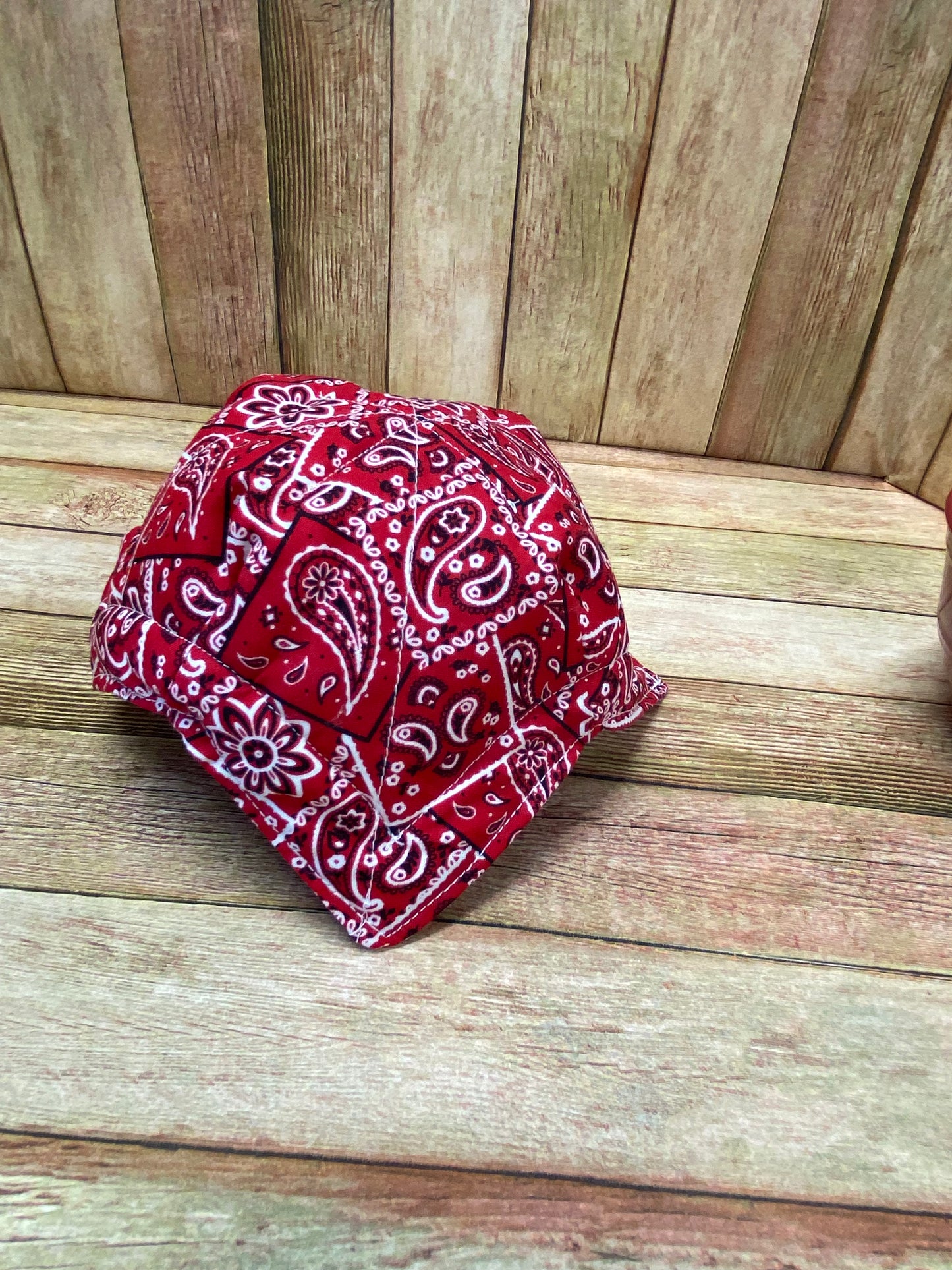 Bowl Cozy. Red Bandana Print.